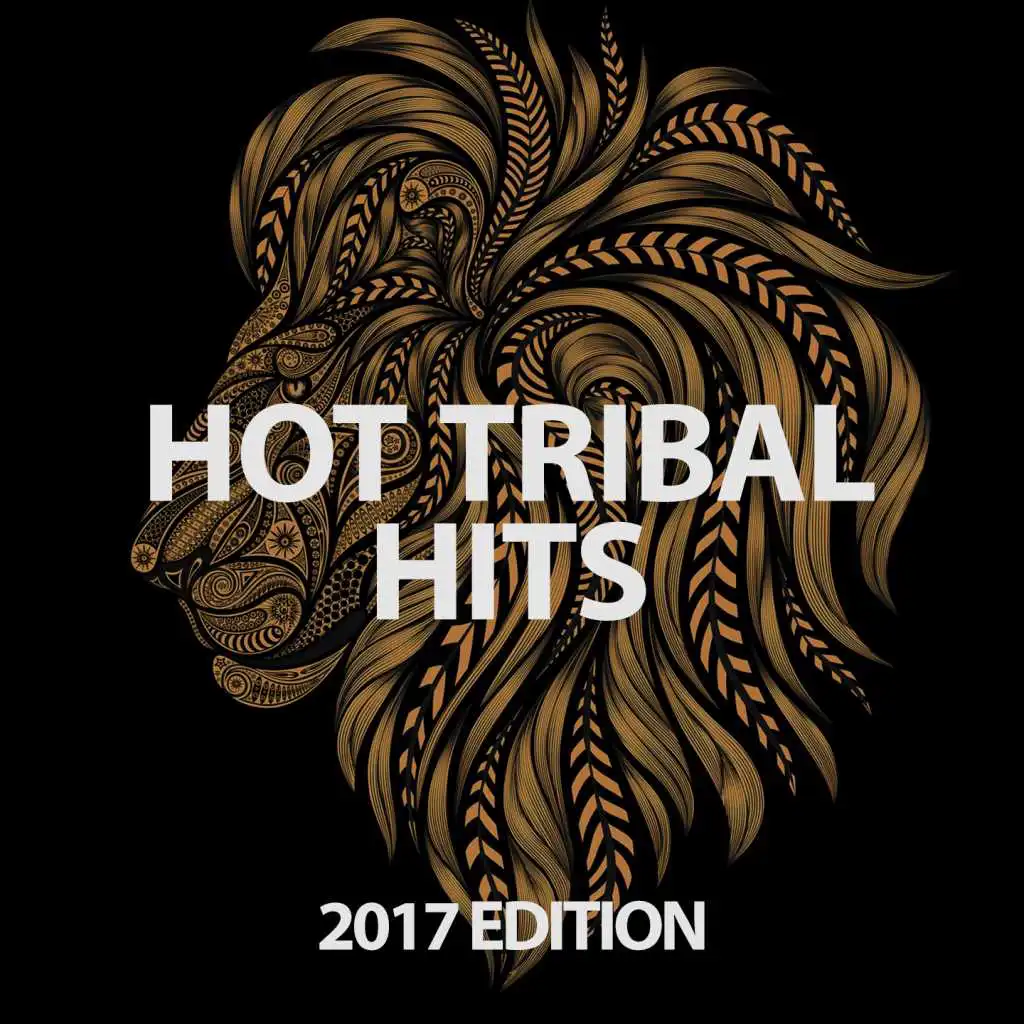 Hot Tribal Hits 2017 Edition