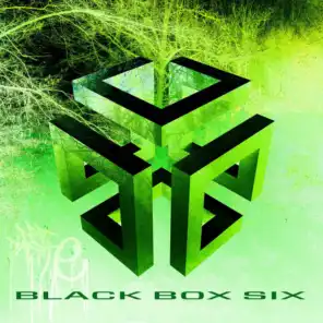 Black Box Six