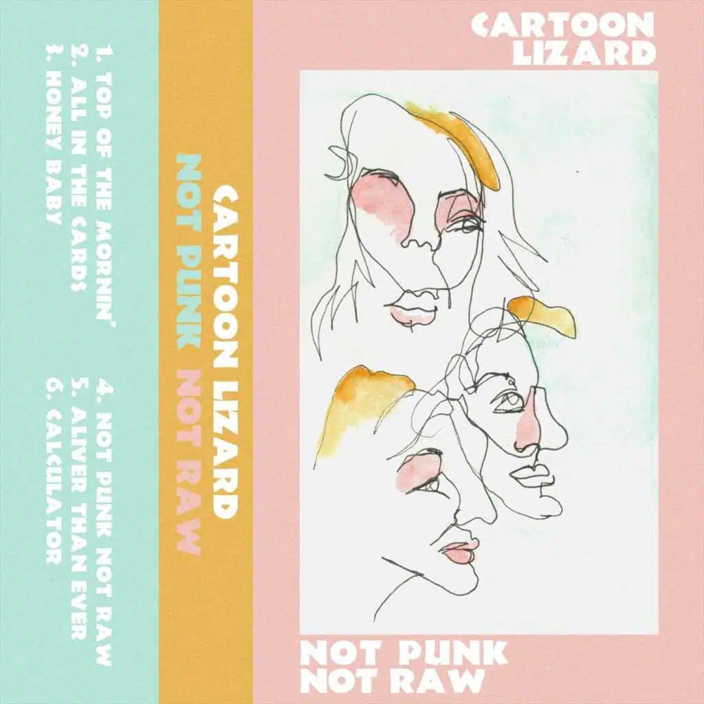 Not Punk Not Raw