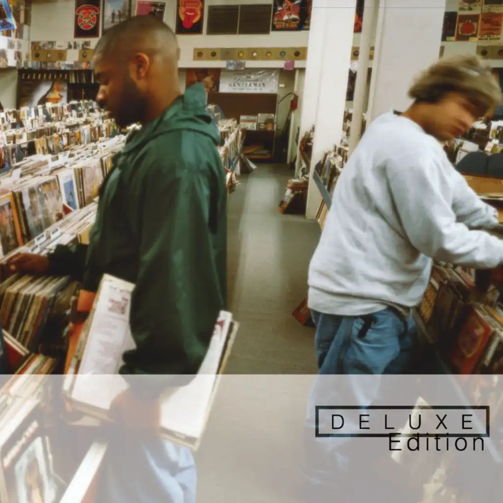 Endtroducing (Deluxe Edition)