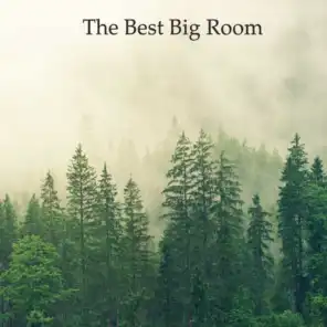 The Best Big Room Pt.019