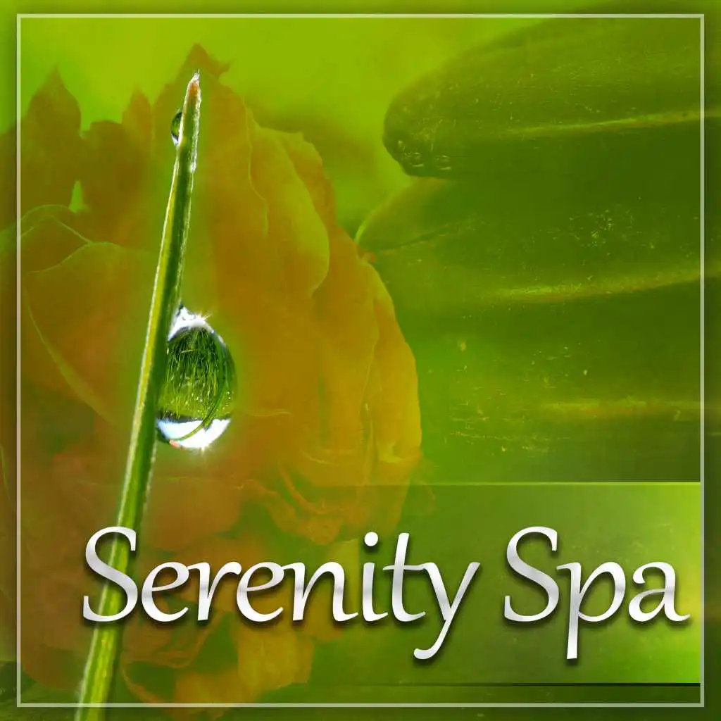 Serenity Spa - Sounds of Nature to Reduce Stress, Beautiful Moments in Spa, Spa Relaxation