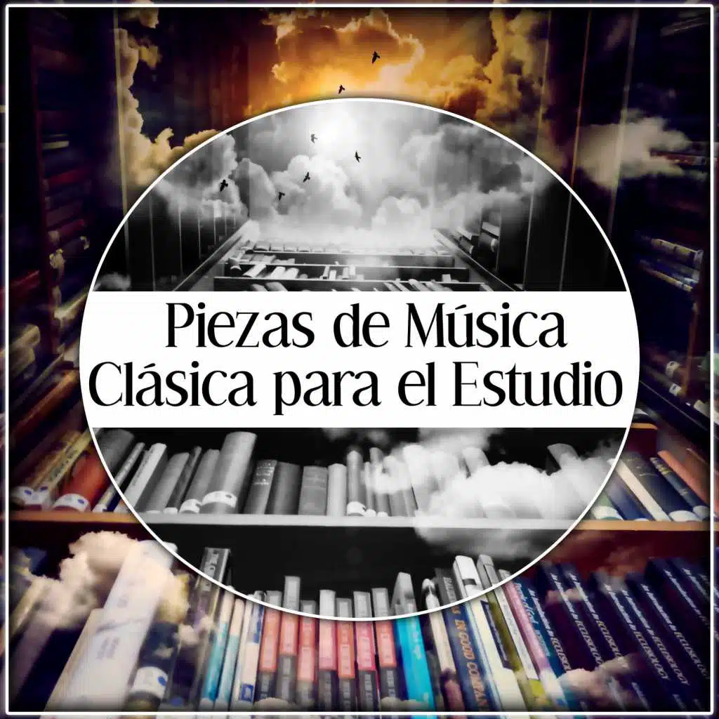 Violin Sonata in D Major, Op. 137 No. 1, D. 384: I. Allegro molto