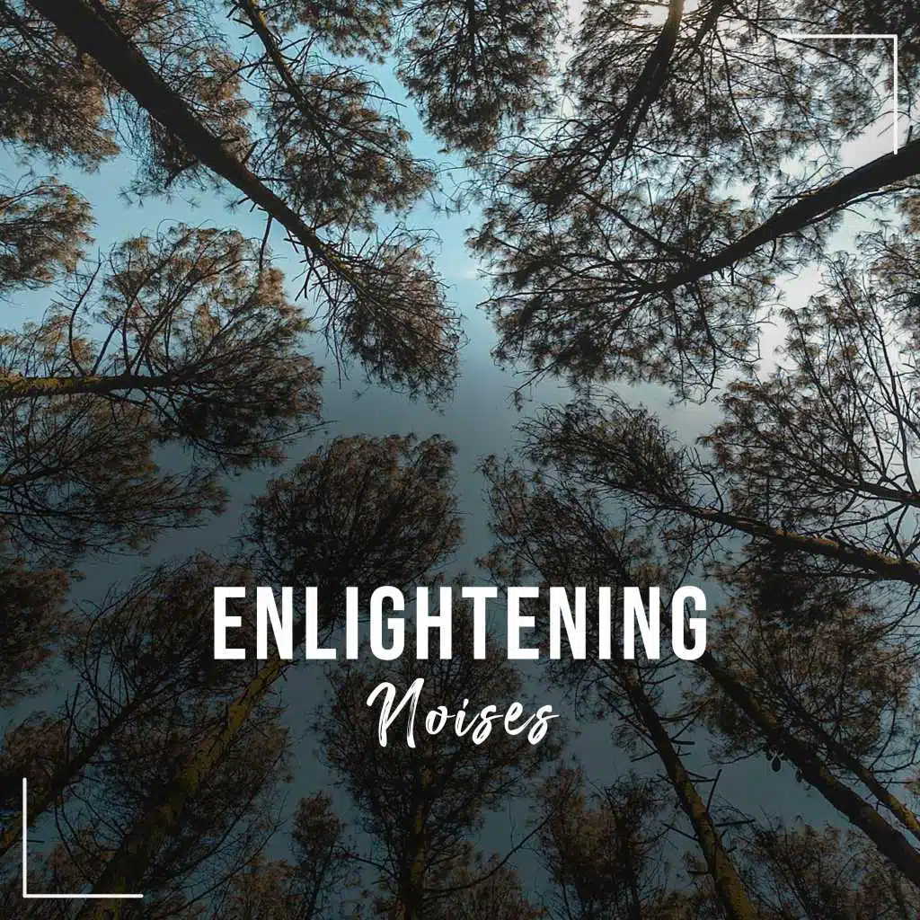 #18 Enlightening Noises for Zen Relaxation & Meditation
