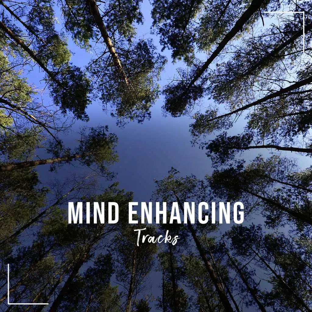 19 Geist verbessernde Spuren