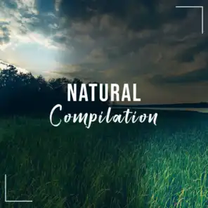 #12 Natural Compilation for Zen Spa