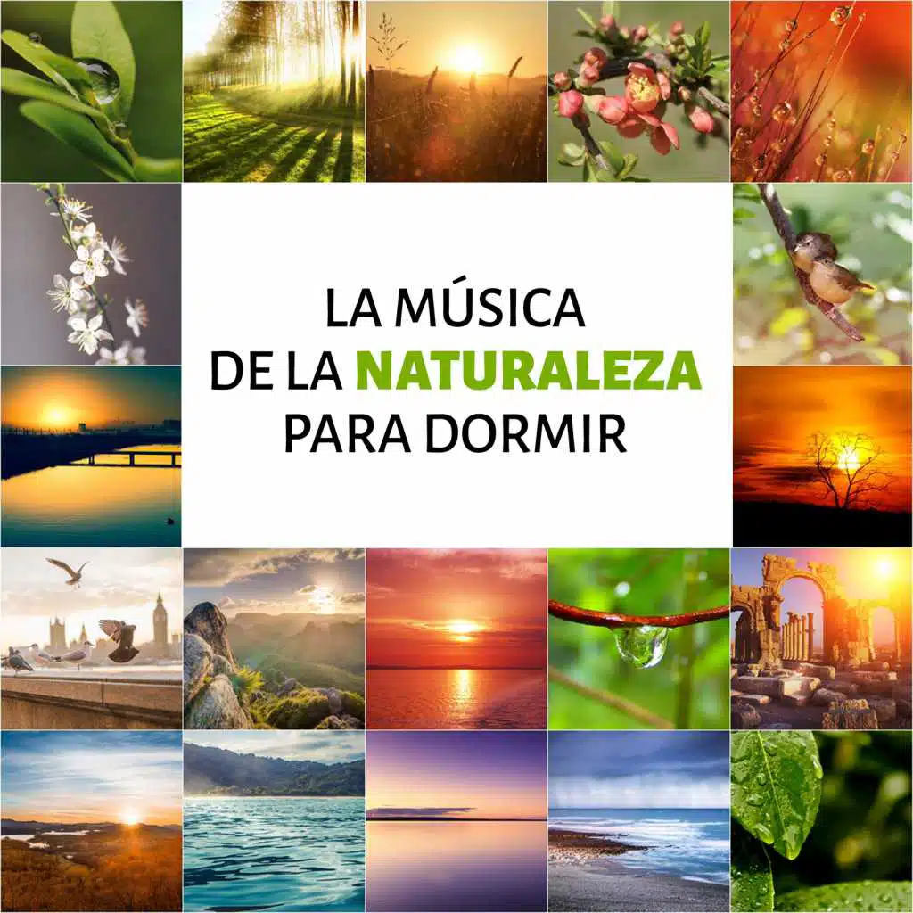 Música Relajante (Vía Láctea)