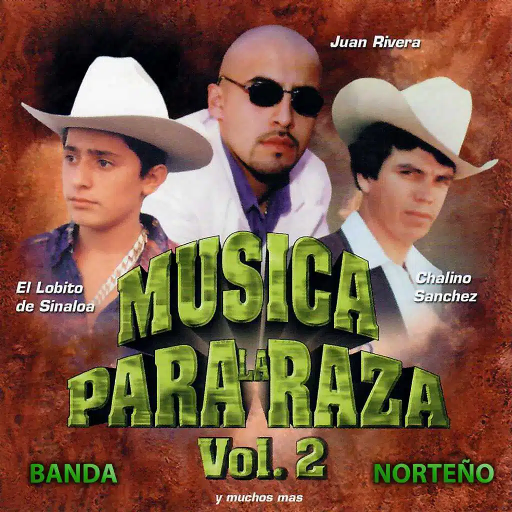 Musica para la Raza, Vol. 2