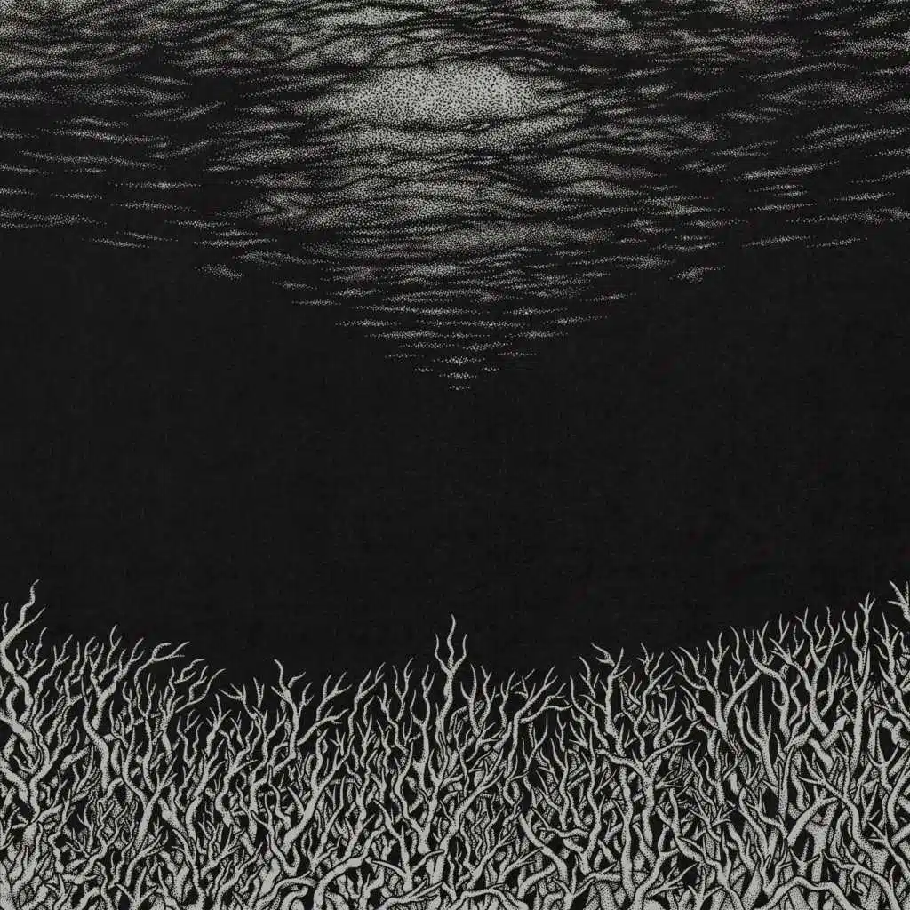 The Slow Dying of the Great Barrier Reef