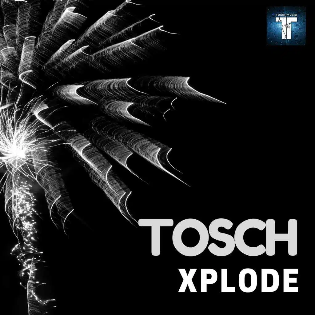 You Will Love Again (Tosch Extended Version)