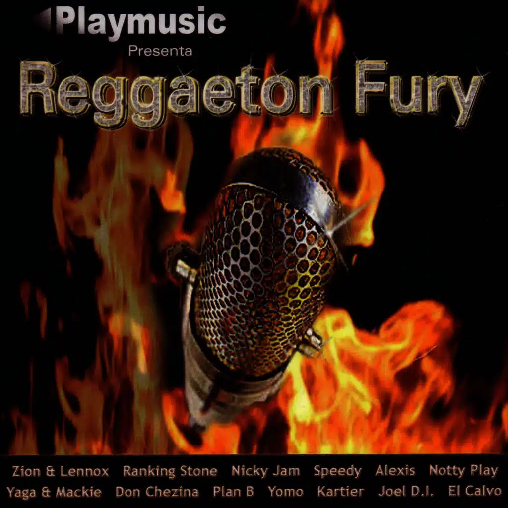 Reggaeton Fury