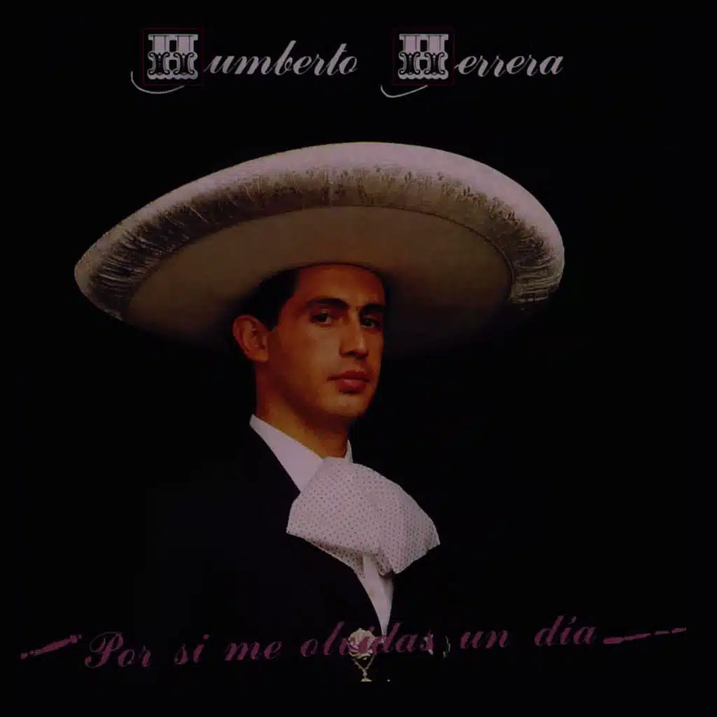 Por Si Me Olvidas un Dia