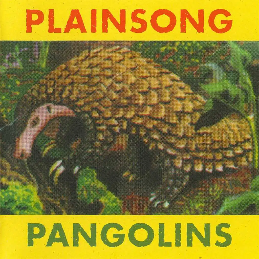 Pangolins