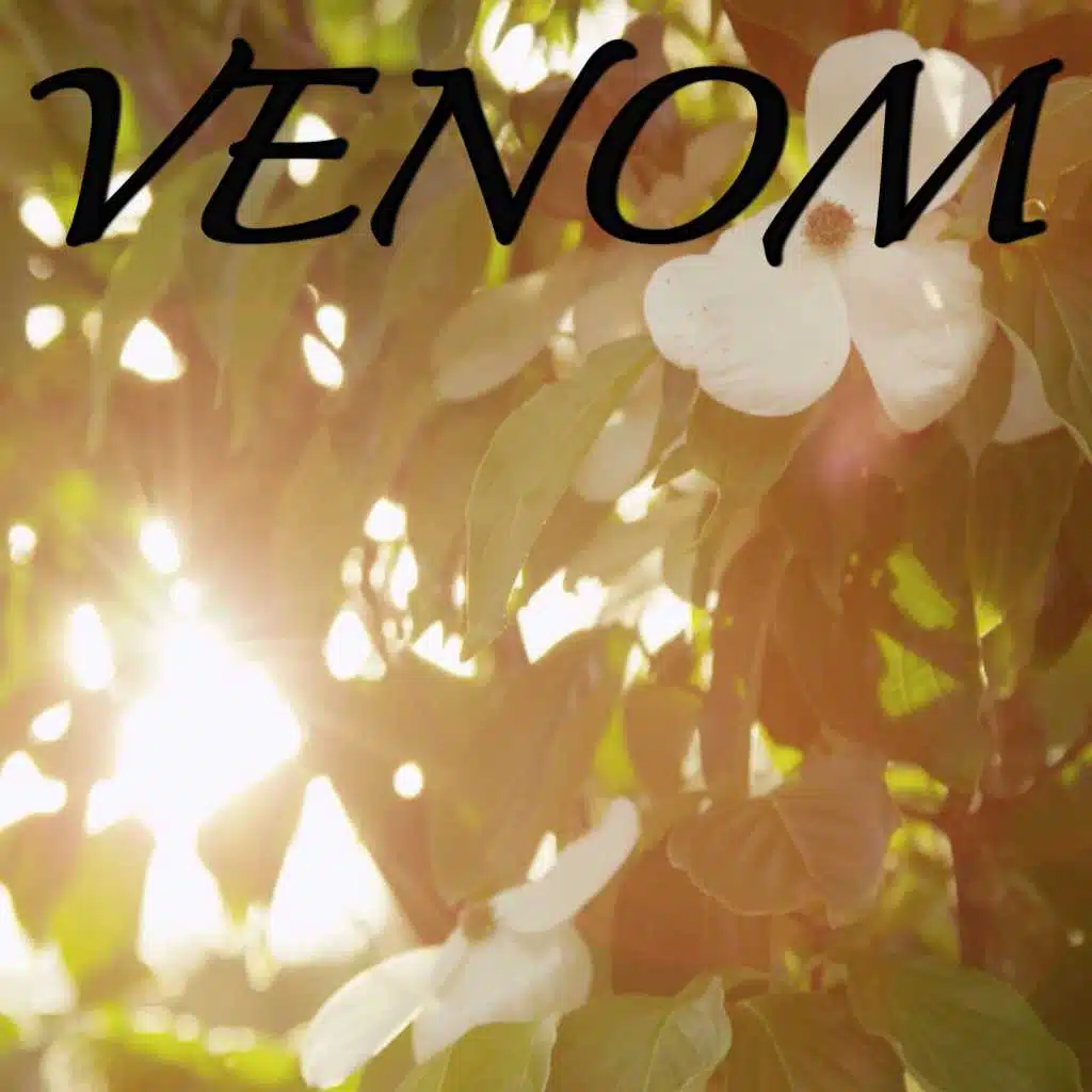 Venom (Tribute to Eminem, Explicit)