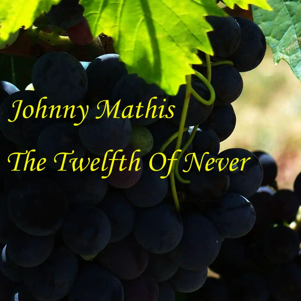 You Stepped Out Of A Dream