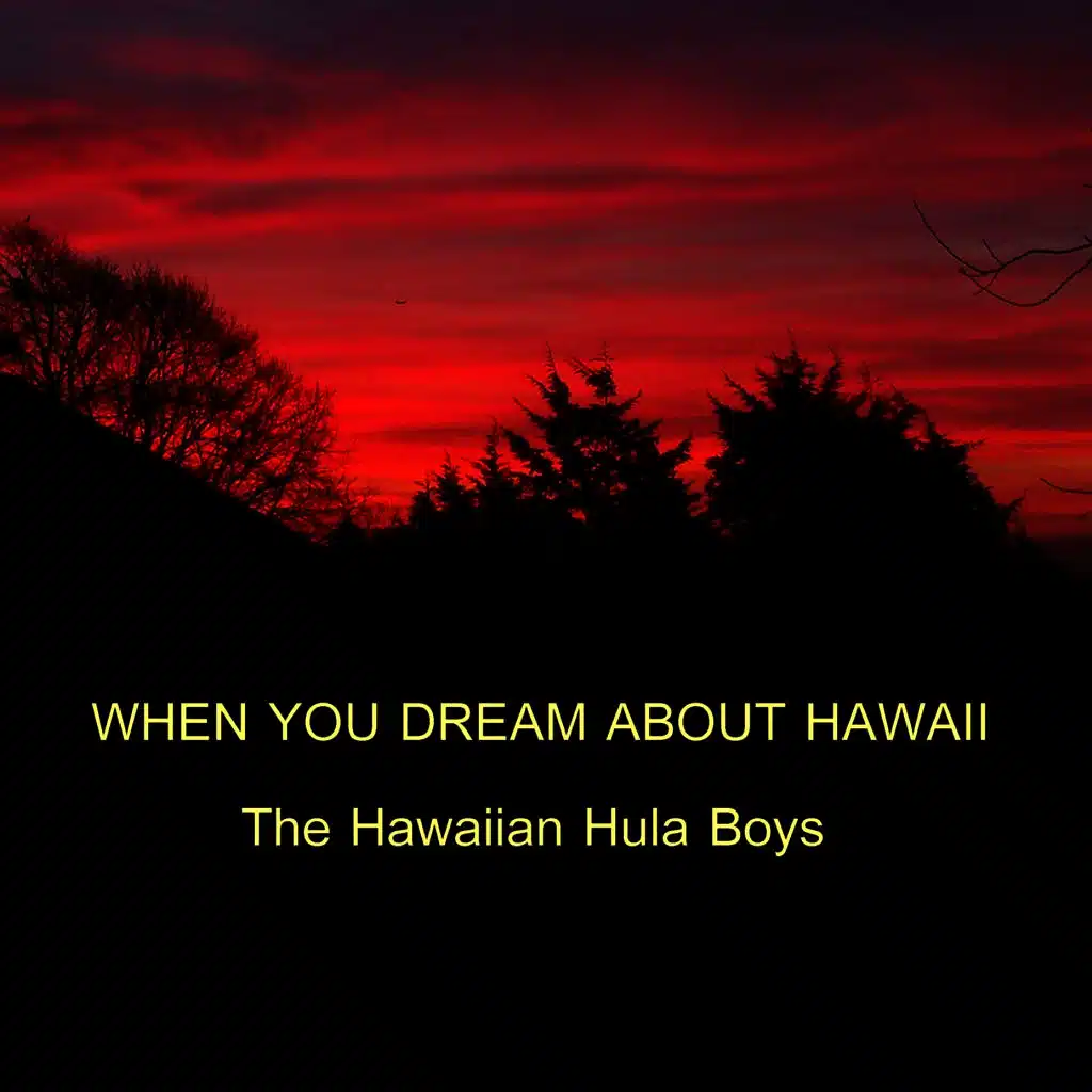 When You Dream About Hawaii