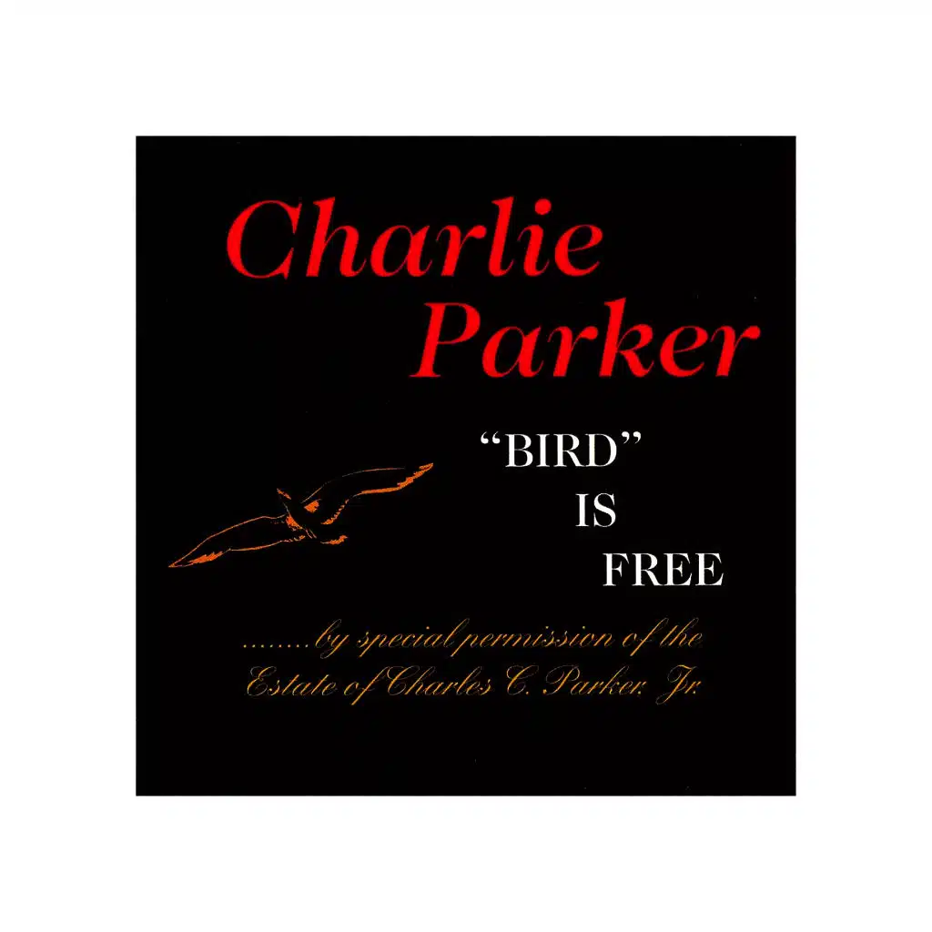 This Time The Dreams On Me