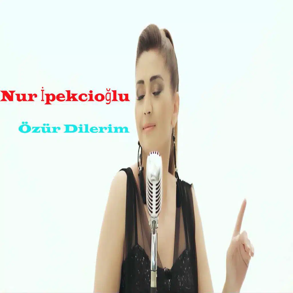 Özür Dilerim