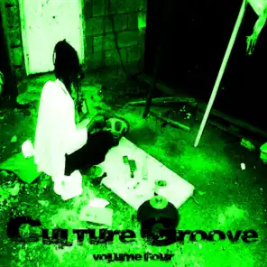 Culture Groove Vol 4 Platinum Edition