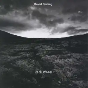 Dawn (Darkwood IV)