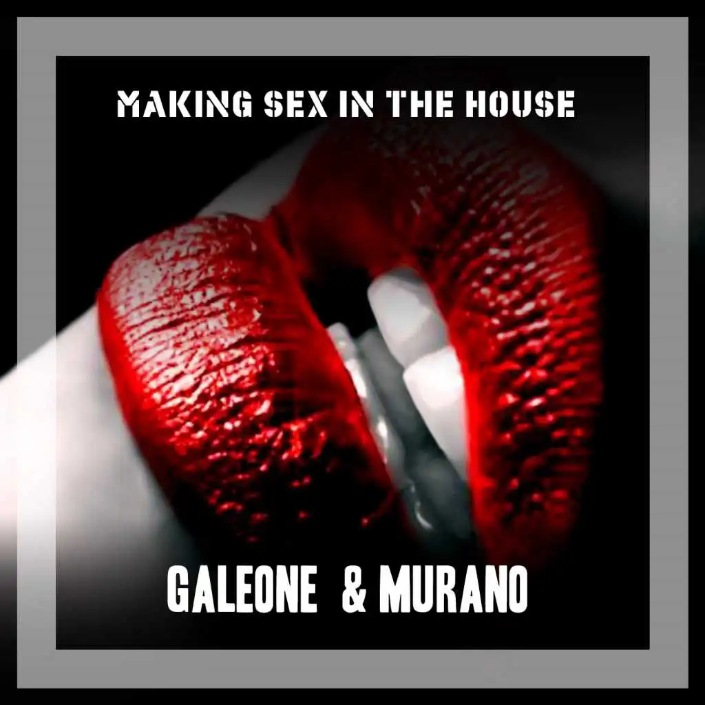 Making Sex In The House