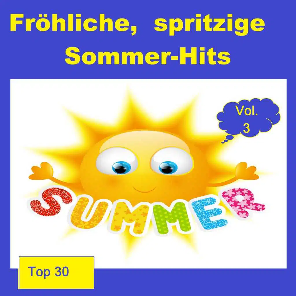Top 24: Fröhliche, spritzige Sommer-Hits, Vol. 3