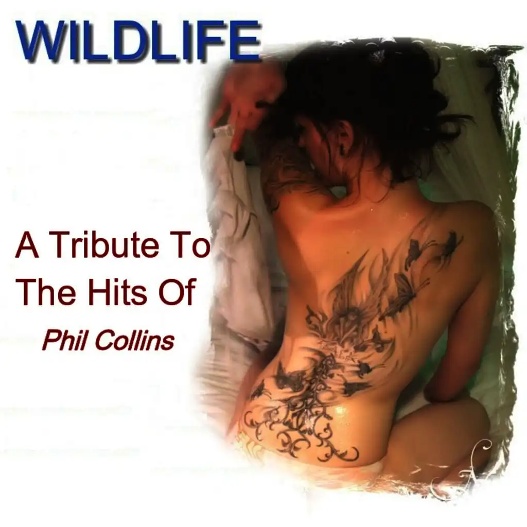 A Tribute to the Hits of Phil Collins