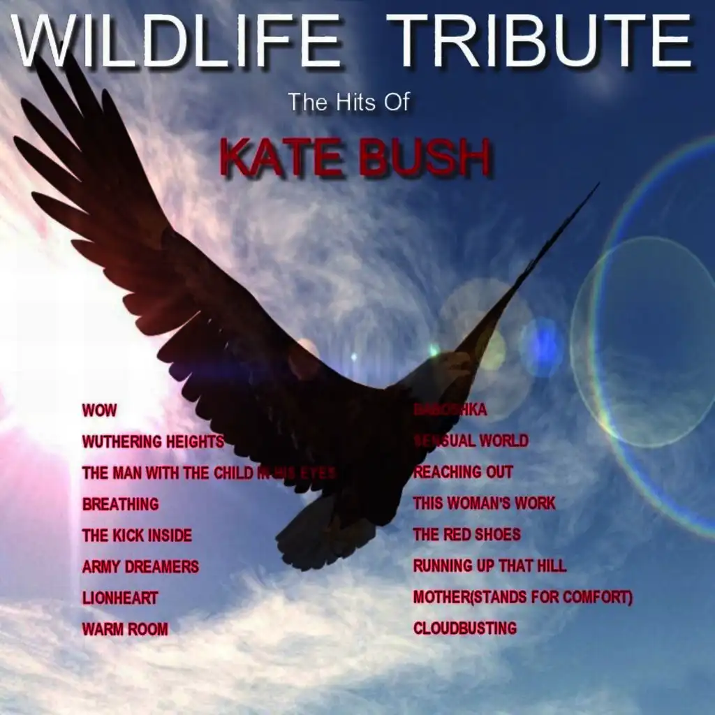 A Tribute to the Hits of Kate Bush