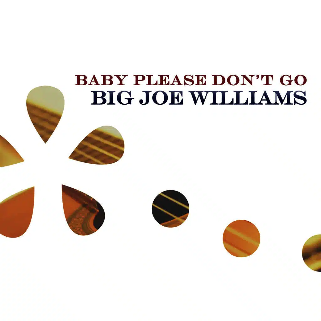 Baby Please Don't Go