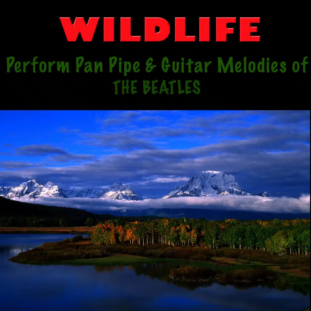 Pan Pipe & Guitar Melodies of The Beatles