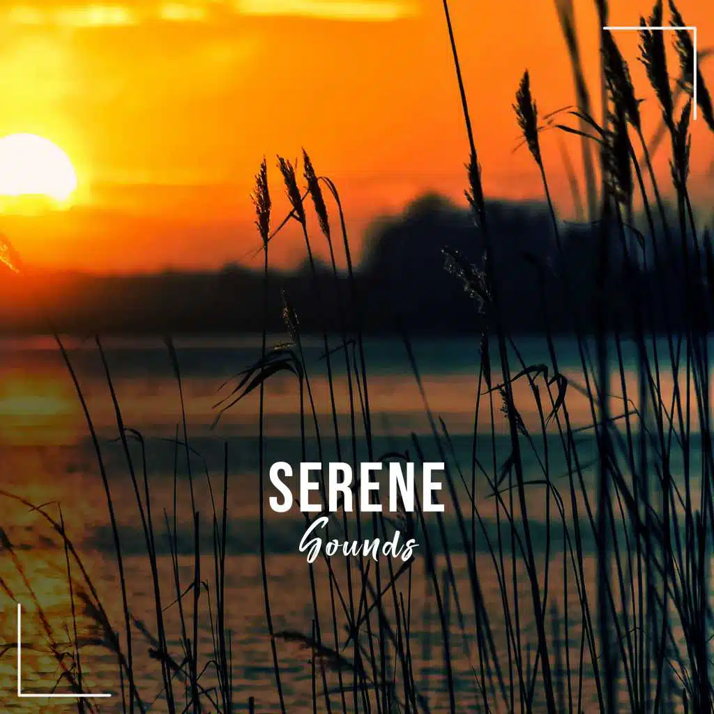17 Serene Sounds, um den Fokus zu geben
