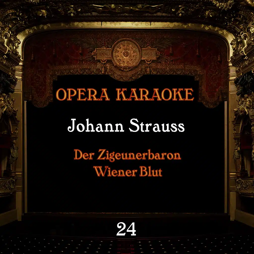 Opera Karaoke, Vol. 24 [Johann Strauss]