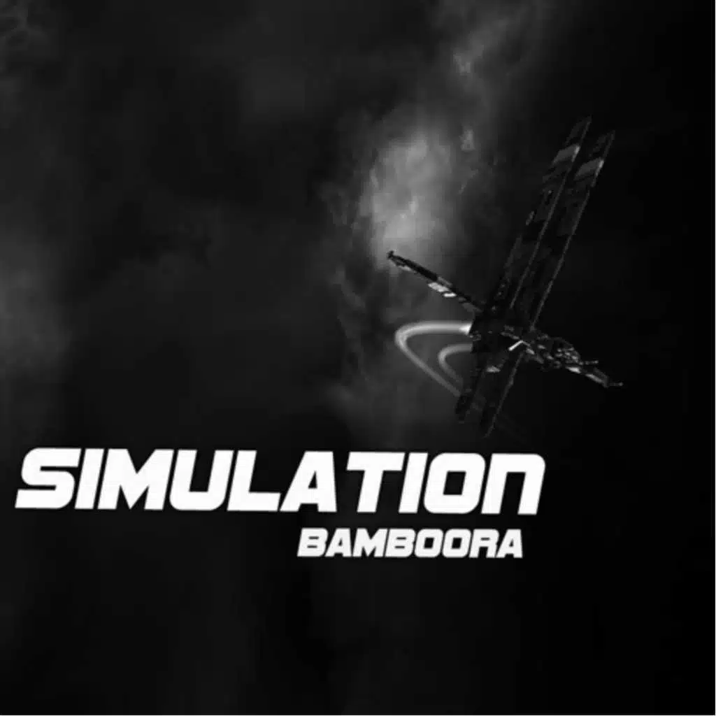 Simulation