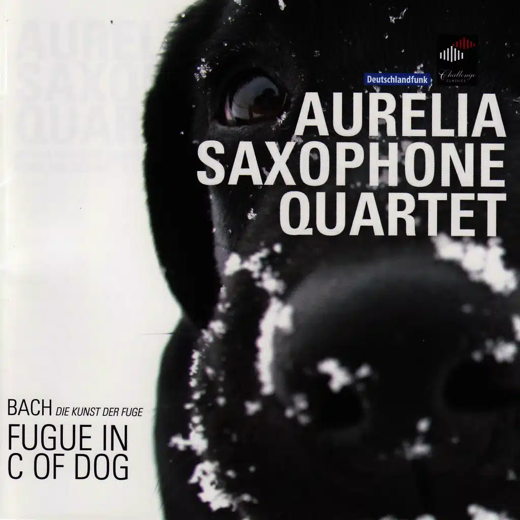 Bach: Fugue In C Of Dog