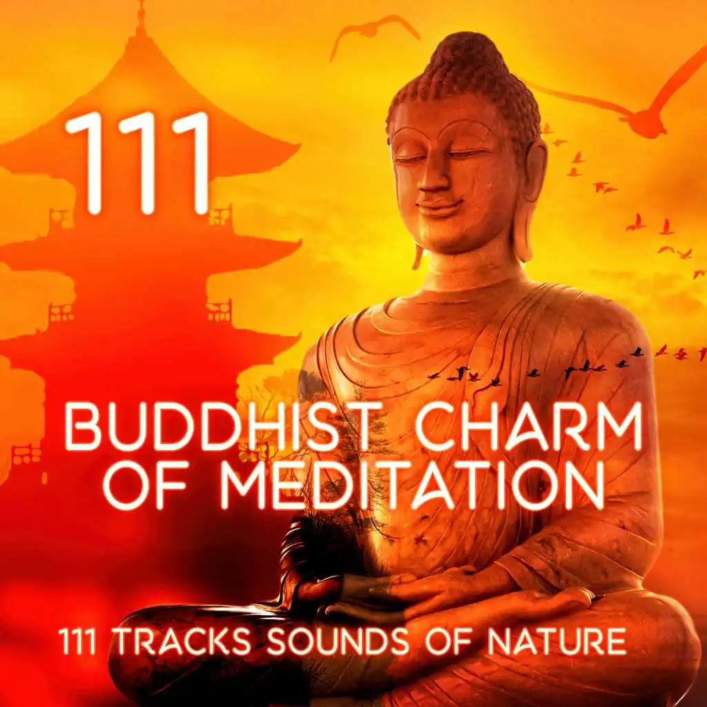 Buddhist Charm of Meditation: Healing Flute Chakras for Awakening of the Soul, Energy to Heal Body and Mind, Yoga Music for Yoga Class - 111 Tracks Sounds of Nature