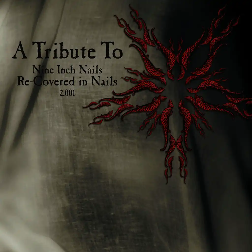 A Tribute To Nine Inch Nails: Re-Covered In Nails 2.001