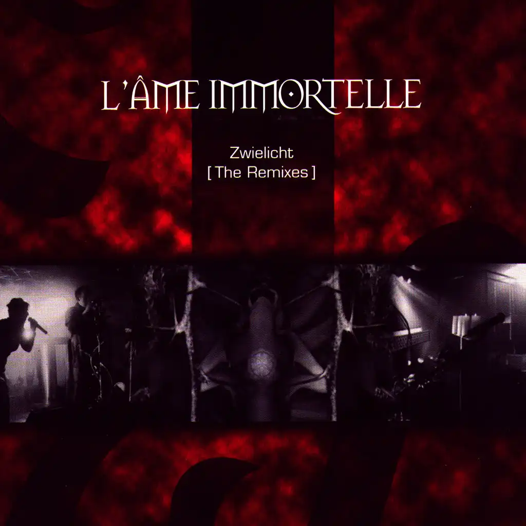 Zwielicht (The Remixes)