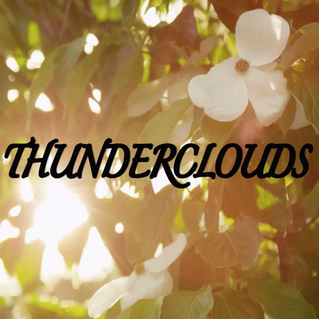 Thunderclouds (Tribute to Lsd and Labrinth, Sia and Diplo)