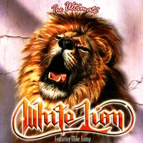 The Ultimate White Lion