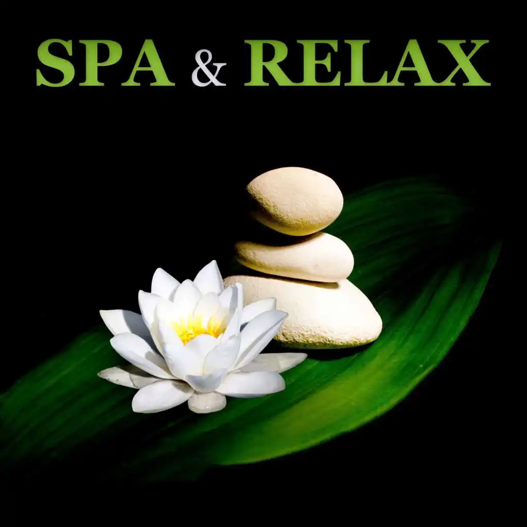 SPA & Relax – Full of Calming Nature Sounds for Total Relaxation, Spa, Wellness, Massage, Full Rest with New Age Music, Sounds of Birds & Ocean Waves