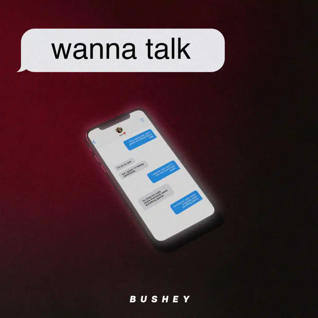 Wanna Talk