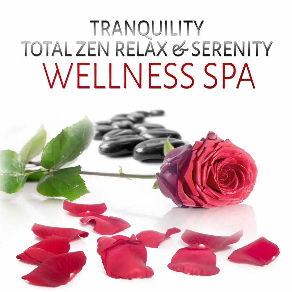 Tranquility Total Zen Relax & Serenity Wellness Spa: Pure Massage Music Relaxation Therapy, Soothing Songs for Sauna, Reiki, Hamman, Beauty, Balanced Body