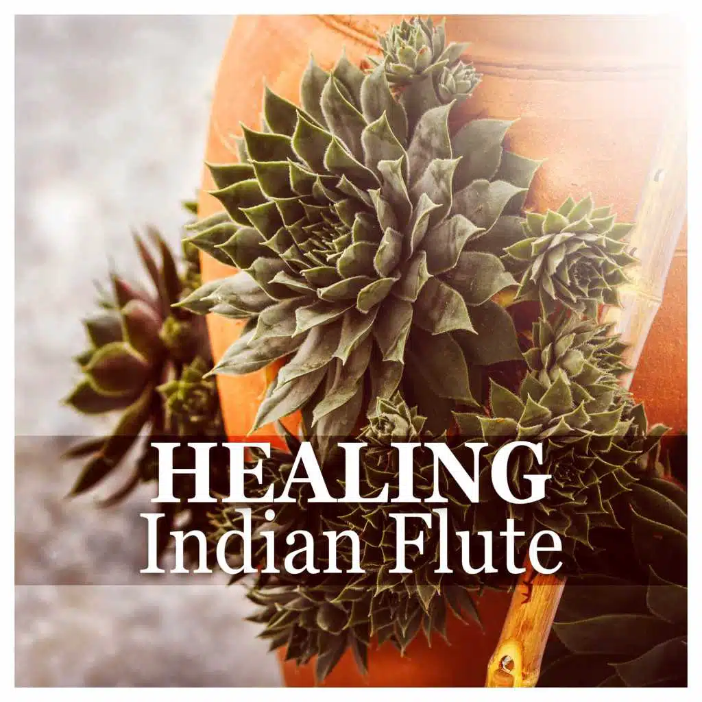 Surrounded by Healing (Spirituality)