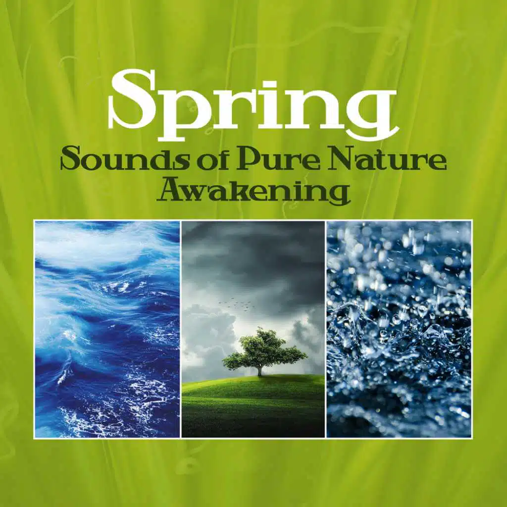 Spring Garden Sounds