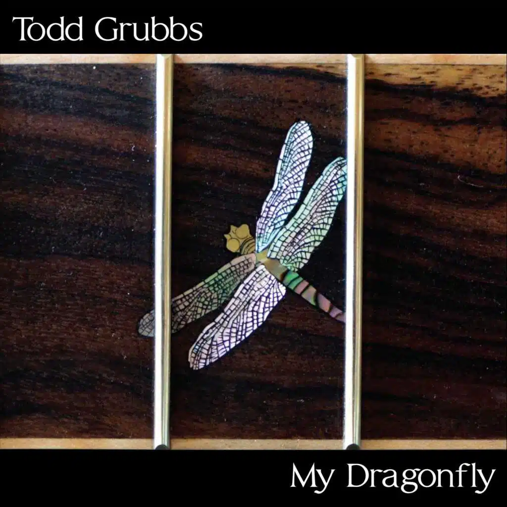My Dragonfly