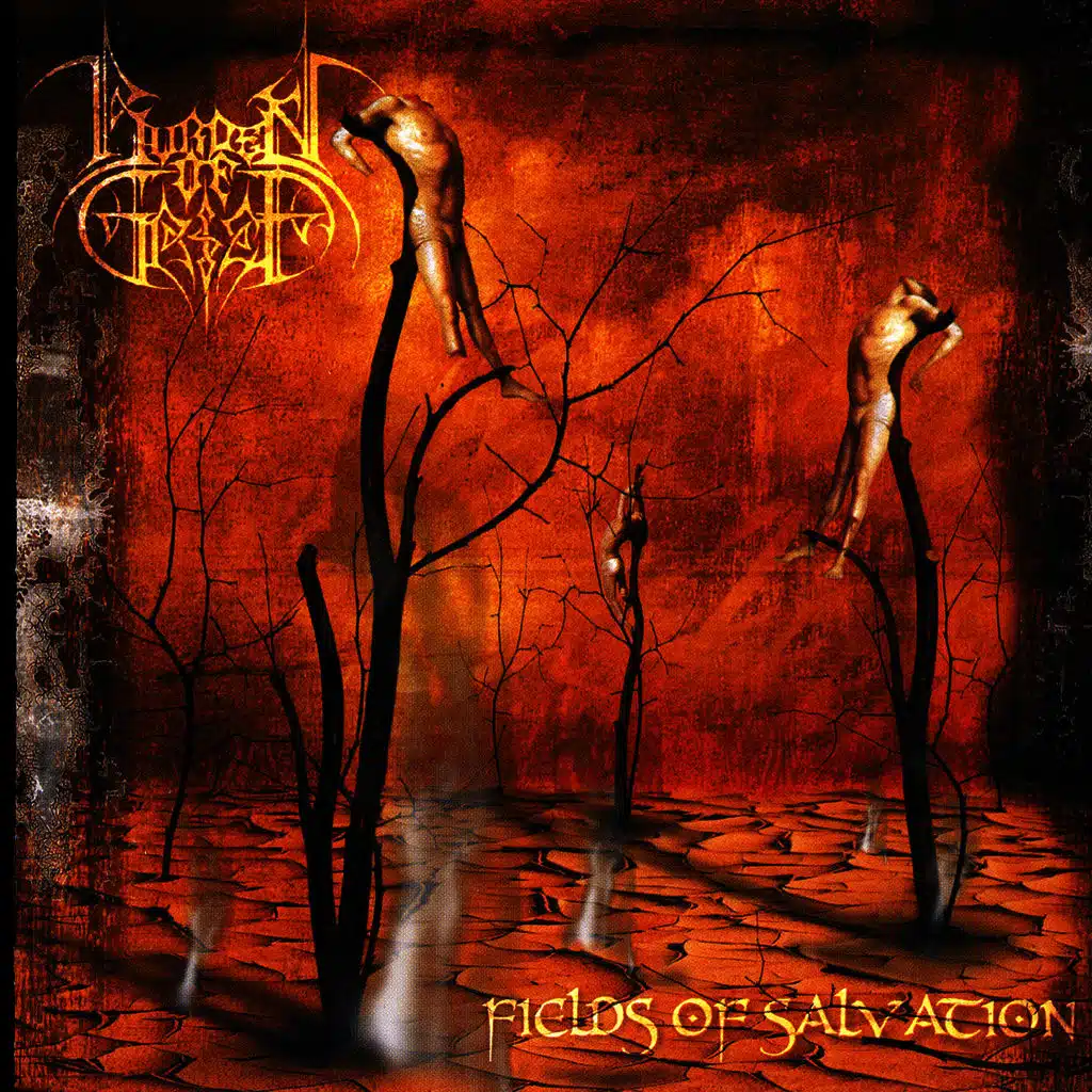 Fields Of Salvation