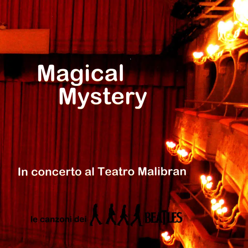Concerto Al Teatro Malibran