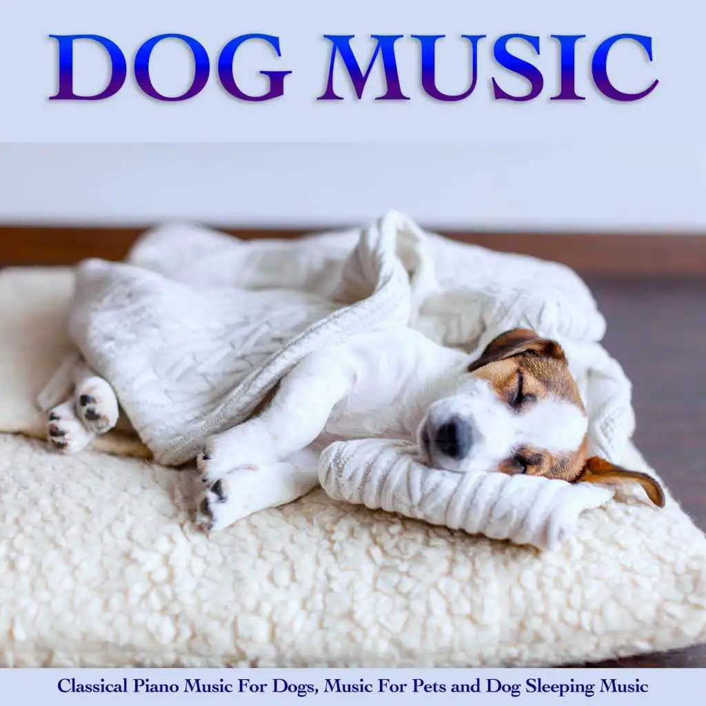 Claire De Lune - Debussy - Dog Music