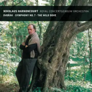Dvorák : Symphony No.7 & The Wild Dove