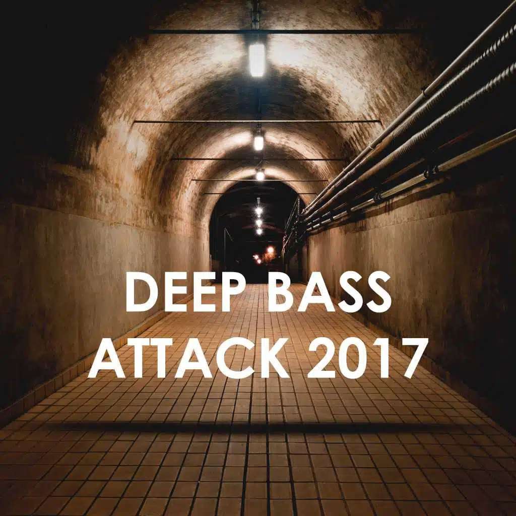 Deep Bass Attack 2017